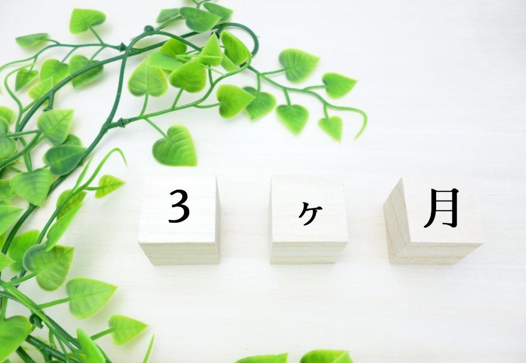 3ヶ月コース