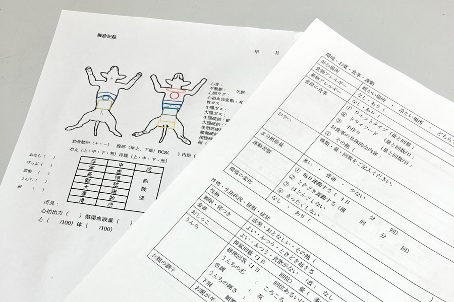 カウンセリングシート