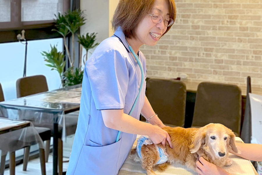 カウンセリングの様子