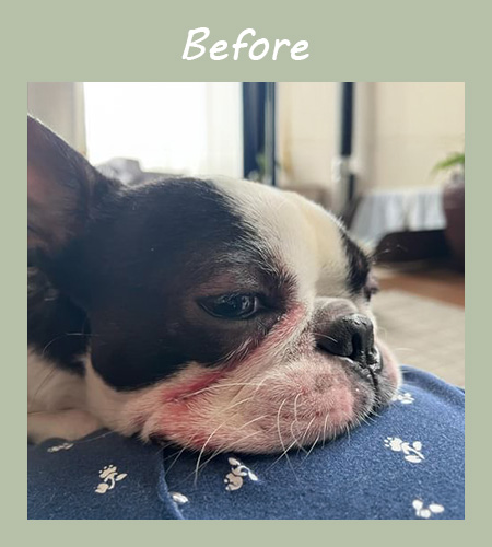 施術前は皮膚トラブルに悩んでいた