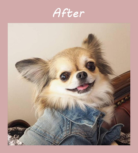 施術後はキレイな目元をキープ