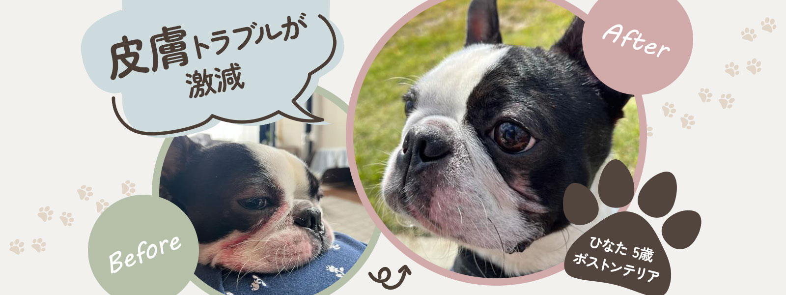 皮膚トラブルが激減