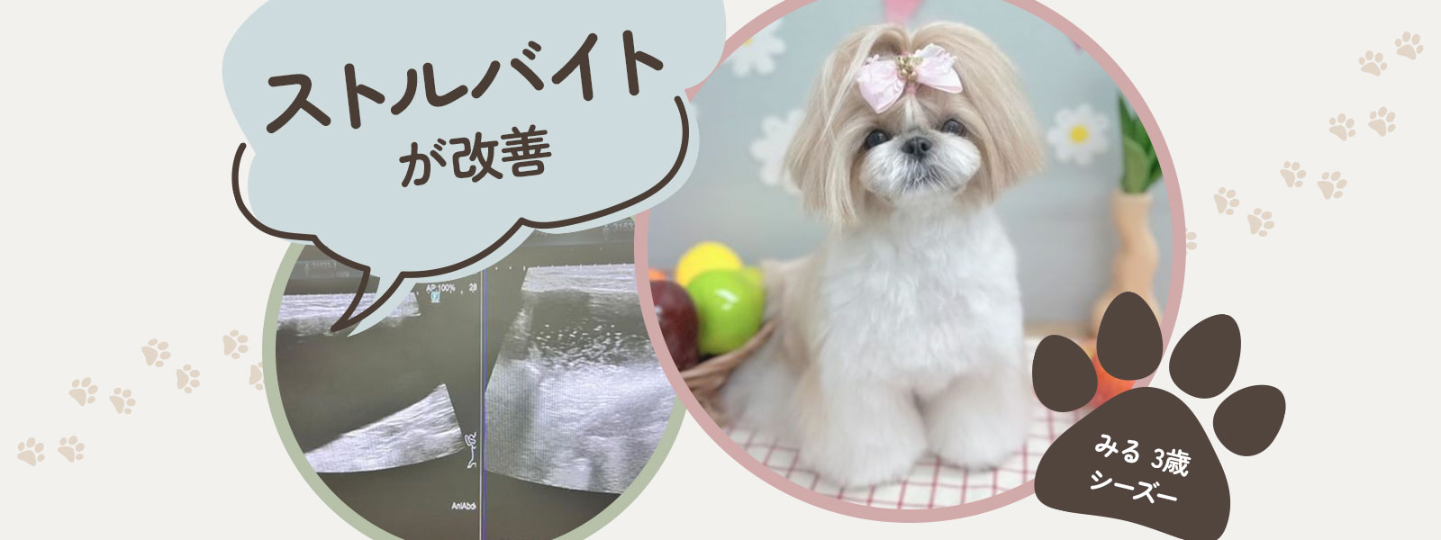 ストルバイトが改善