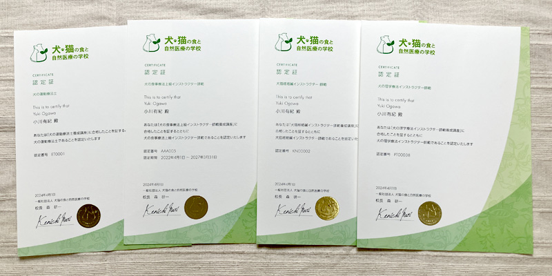 犬猫の食と自然医療の学校の資格認定書